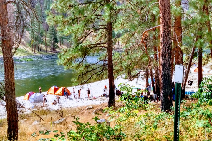 Group camping by a river with tents, surrounded by trees and forest.