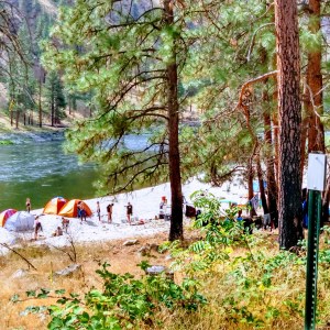 Campsite by a river with tents and people surrounded by pine trees.